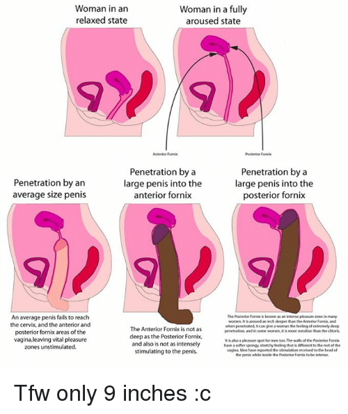 best of Cervix dick